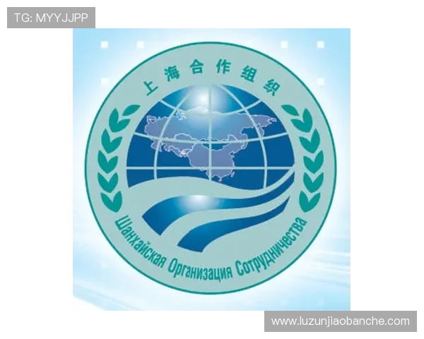 上海飞盘队团队协作表现分析与提升策略探讨