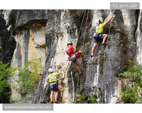 广州攀岩队灵活性变革引发热议攀岩运动新风潮